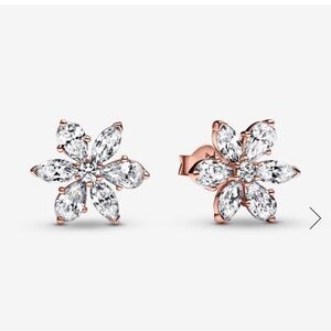 Pandora Sparkling Herbarium Cluster Stud Earrings